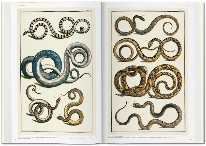 Sample content 2_Seba. Cabinet Of Natural Curiosities