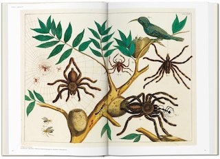 Sample content 3_Seba. Cabinet Of Natural Curiosities