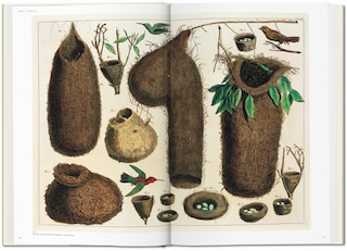 Sample content 4_Seba. Cabinet Of Natural Curiosities