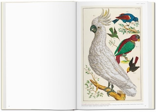 Sample content 5_Seba. Cabinet Of Natural Curiosities