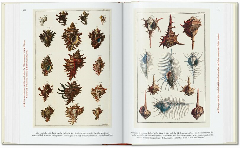 Sample content_Seba. Cabinet of Natural Curiosities. 45th Ed.