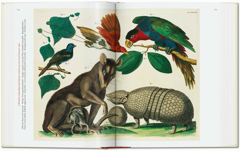 Sample content 3_Seba. Cabinet of Natural Curiosities. 45th Ed.