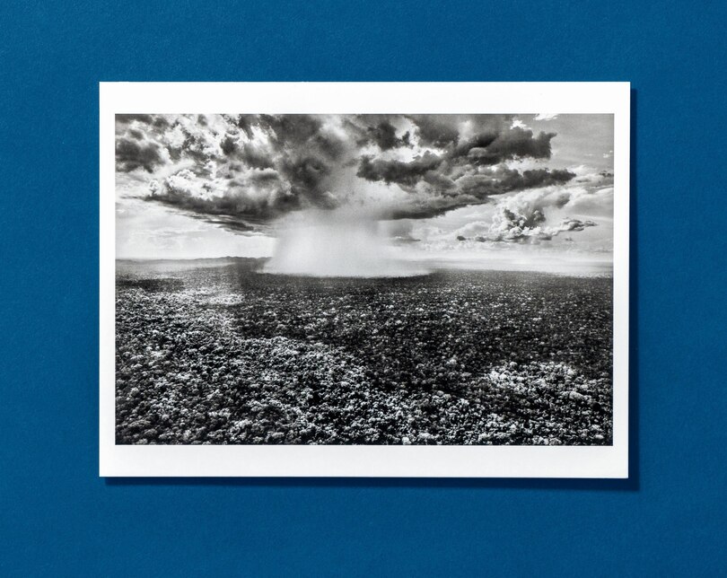 Aper&ccedil;u du contenu 4_Sebasti&atilde;o Salgado. Amaz&ocirc;nia. Postcard Set