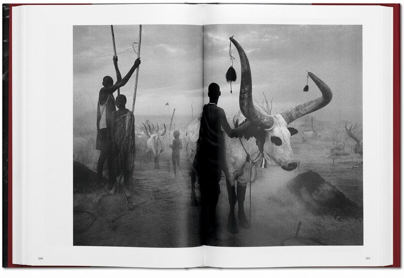Sample content 3_Sebasti&atilde;o Salgado. Genesis