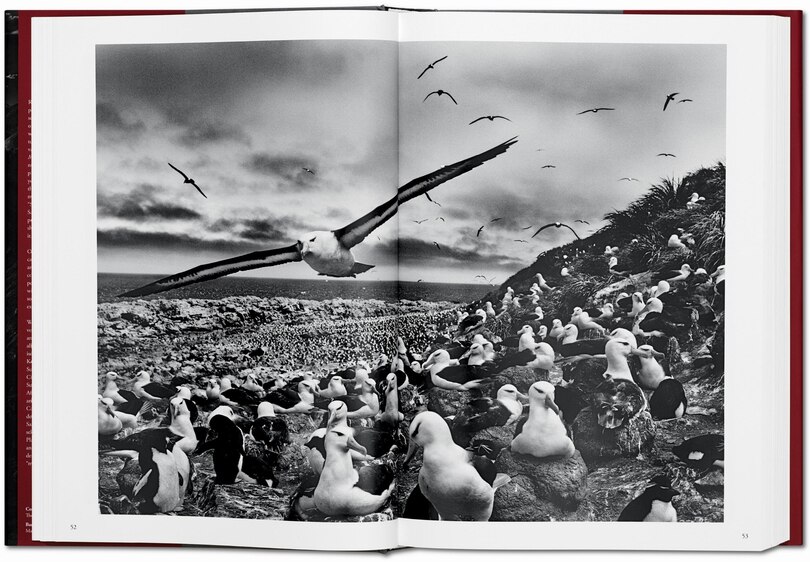 Sample content 5_Sebasti&atilde;o Salgado. Genesis