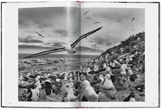 Sample content 3_Sebasti&atilde;o Salgado. GENESIS