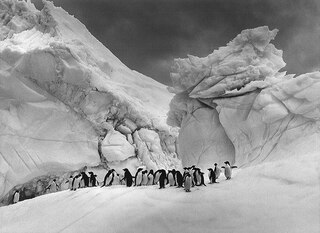 Sample content 2_Sebasti&atilde;o Salgado