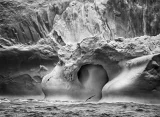 Sample content 3_Sebasti&atilde;o Salgado