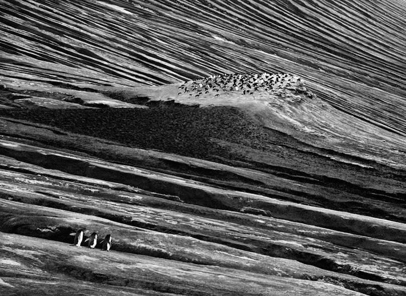 Sample content 4_Sebasti&atilde;o Salgado