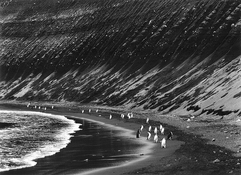 Sample content 5_Sebasti&atilde;o Salgado