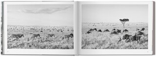Aperçu du contenu 3_Sebastião Salgado. Africa