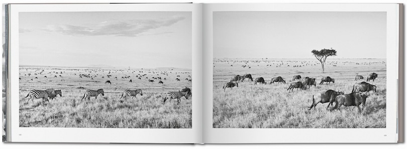 Aperçu du contenu 3_Sebastião Salgado. Africa