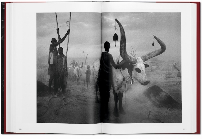Sample content 3_Sebastião Salgado. Genesis