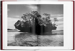 Sample content 4_Sebastião Salgado. Genesis
