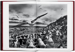 Sample content 5_Sebastião Salgado. Genesis