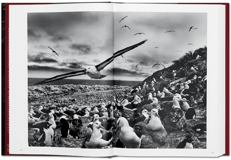 Sample content 5_Sebastião Salgado. Genesis