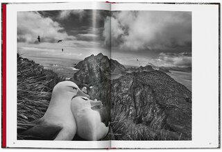 Sample content 2_Sebastião Salgado. GENESIS