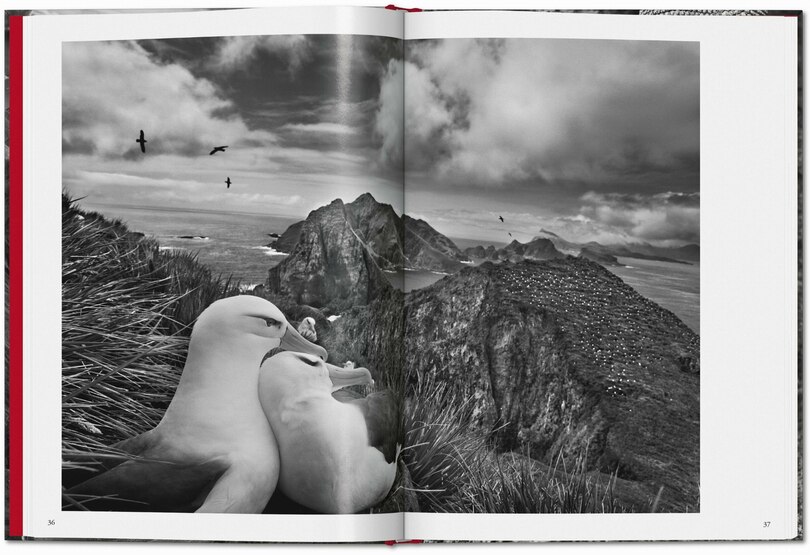 Sample content 2_Sebastião Salgado. GENESIS