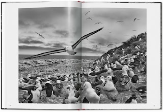 Sample content 3_Sebastião Salgado. GENESIS