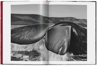 Sample content 4_Sebastião Salgado. GENESIS