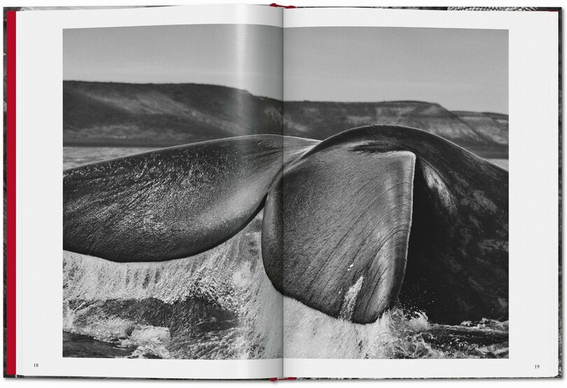 Sample content 4_Sebastião Salgado. GENESIS