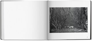 Sample content_Sebastião Salgado. Kuwait. A Desert On Fire