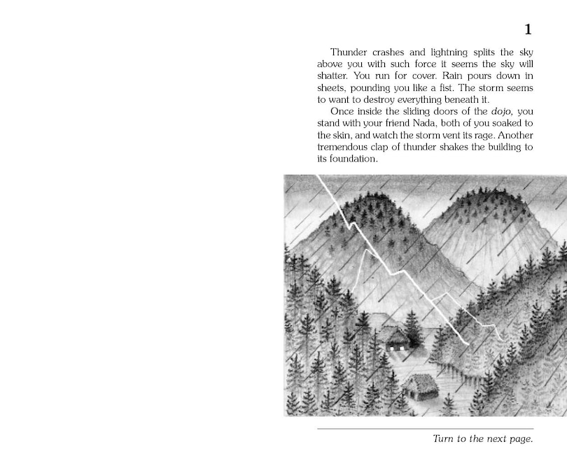 Sample content_Secret Of The Ninja