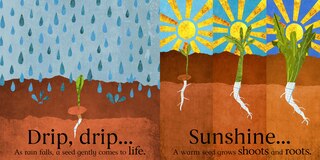 Aper&ccedil;u du contenu 2_Seeds