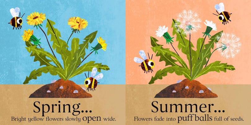 Aper&ccedil;u du contenu 3_Seeds