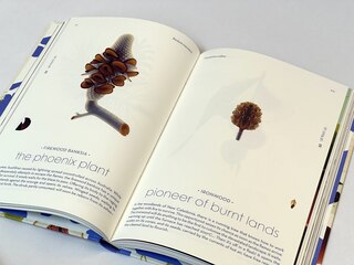 Sample content_Seeds