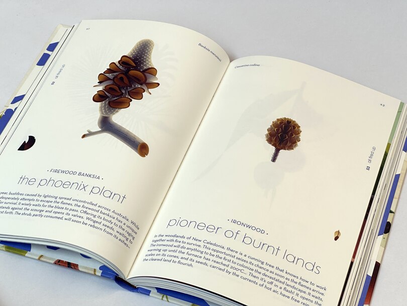 Sample content_Seeds
