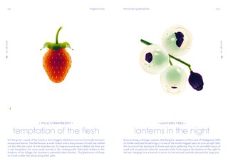 Sample content 3_Seeds
