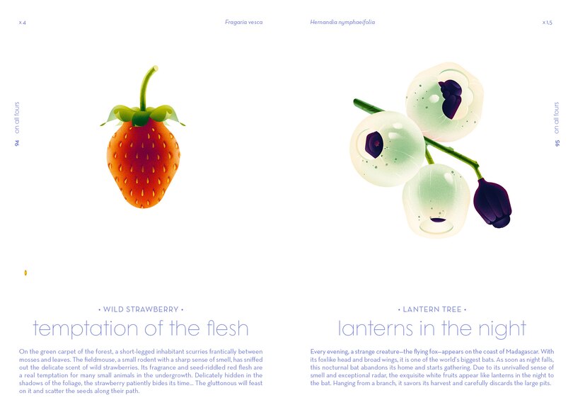 Sample content 3_Seeds