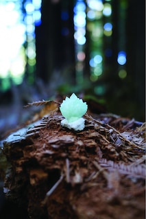 Sample content_Sensory Crystal Healing