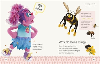 Sample content 5_Sesame Street Elmo Asks Why?