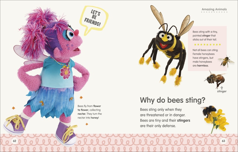 Sample content 5_Sesame Street Elmo Asks Why?