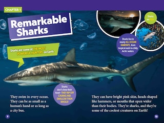 Aperçu du contenu_Sharks! (National Geographic Kids Readers, Level 2)