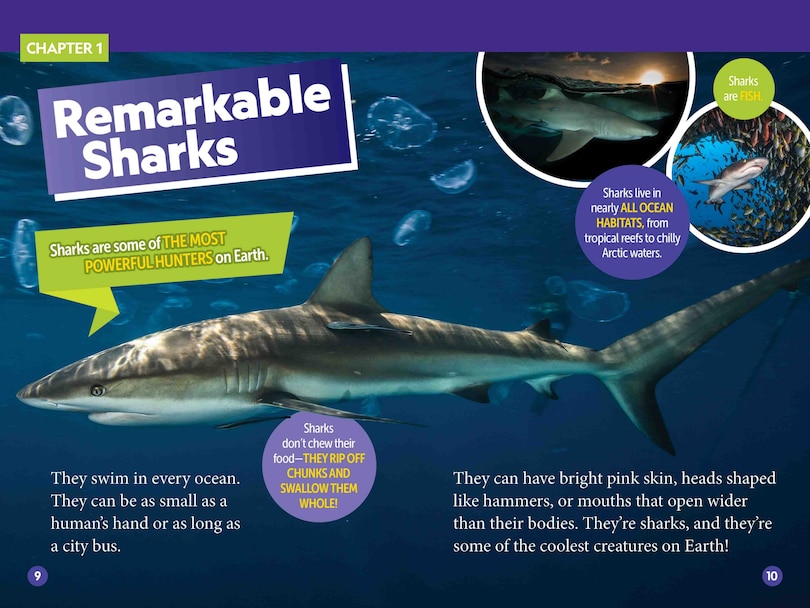 Aperçu du contenu_Sharks! (National Geographic Kids Readers, Level 2)