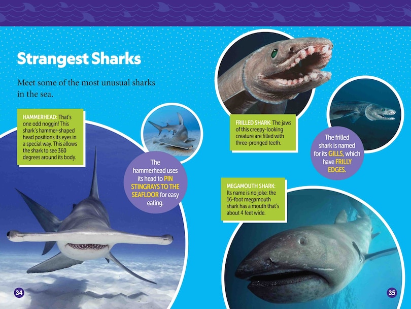 Aperçu du contenu 2_Sharks! (National Geographic Kids Readers, Level 2)