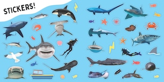 Sample content 5_Sharks!