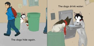 Sample content 3_Siku And Kamik Go To School