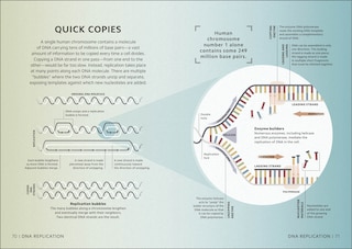 Aperçu du contenu 3_Simply Genetics