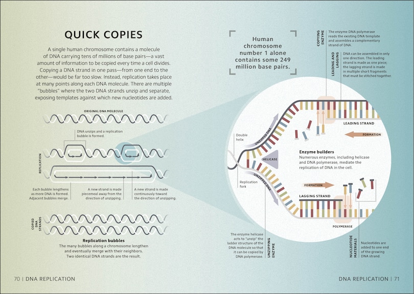 Aperçu du contenu 3_Simply Genetics