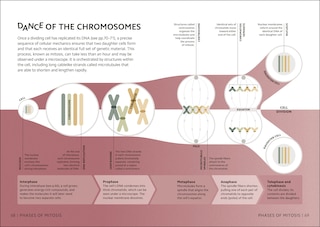 Aperçu du contenu 4_Simply Genetics
