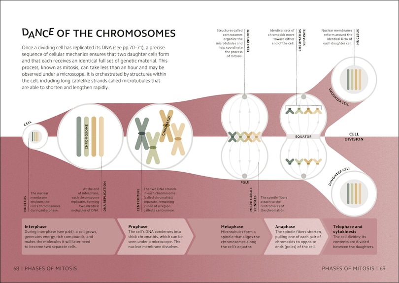 Aperçu du contenu 4_Simply Genetics