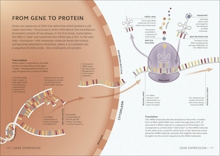 Aper&ccedil;u du contenu_Simply Science