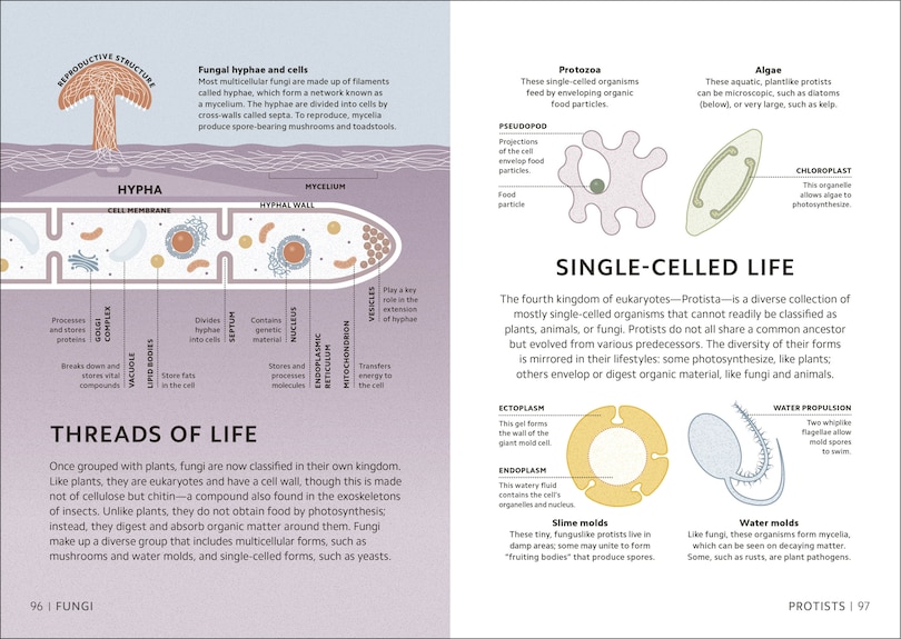 Aper&ccedil;u du contenu 2_Simply Science