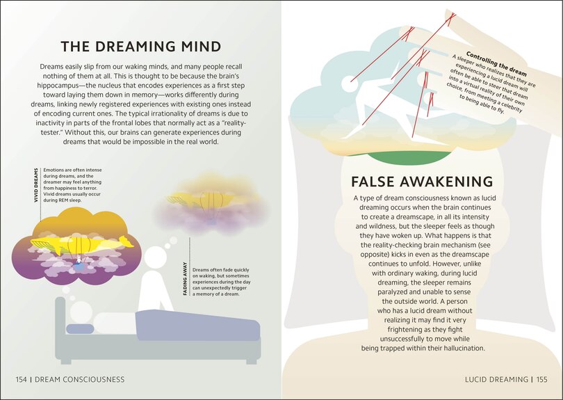 Aper&ccedil;u du contenu_Simply The Brain