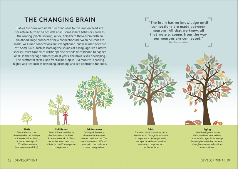 Aper&ccedil;u du contenu 2_Simply The Brain