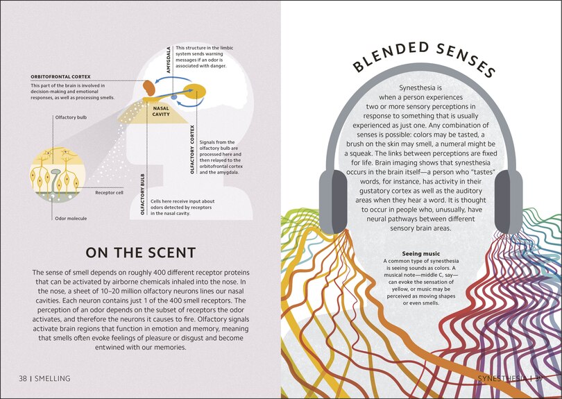 Aper&ccedil;u du contenu 5_Simply The Brain